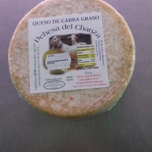 queso iberico